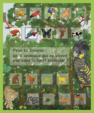 WalliKids posters de jeux pour enfants - Forêt tropicale